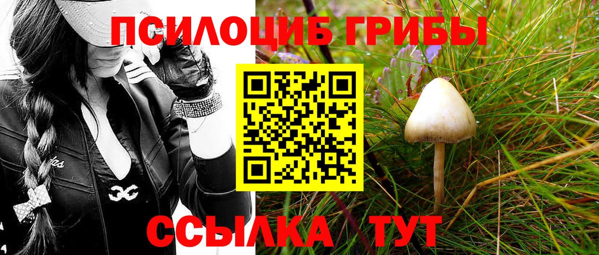 Галлюциногенные грибы MAGIC MUSHROOMS  Вход с VPN  Дмитров  Псилоцибиновые грибы мицелий 