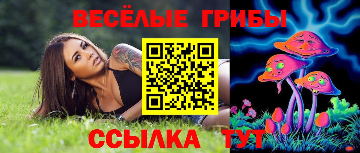 Галлюциногенные грибы прущие грибы Дмитров